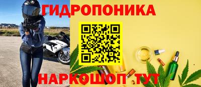 гашик Кимры
