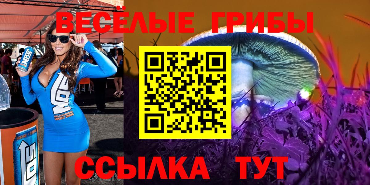 Лесозаводск  Галлюциногенные грибы ЛСД  купить закладку  Вход с VPN 