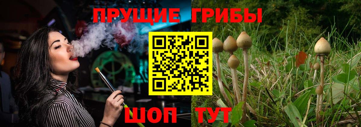 Галлюциногенные грибы Psilocybine cubensis Лесозаводск