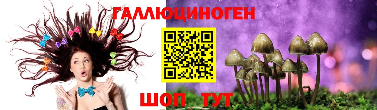 ГАШИШ  ЭКСТАЗИ  ГАШИШ  Лесозаводск  Мефедрон кристаллы  Вход с VPN  Конопля 